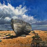 Summer morning, Dungeness beach.