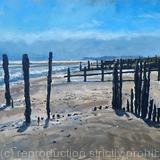 Afternoon light, Rye Harbour Nature Reserve