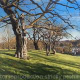 February afternoon, Brockwell Park