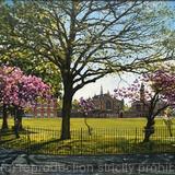 Spring morning, Dulwich College