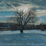 Winter Oak, Brockwell Park.