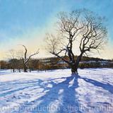 Winterlight, Brockwell Park