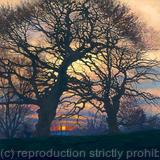 March evening, Brockwell Park