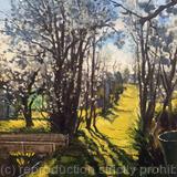 Spring afternoon at Rosendale allotments