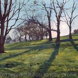 Evening shadows, Brockwell Park