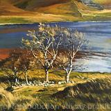 Autumn light. Isle of Skye