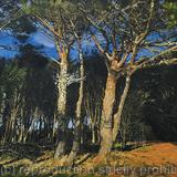 Sunlight and Shadows, Prussia Cove. Cornwall