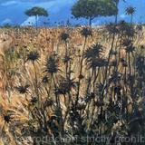 Thistle Field, Mallorca