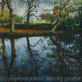 Autumn reflections, Belair Park