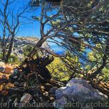 Mallorcan  Landscape, on the road to Formentor