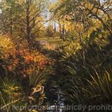  Brockwell Park, spring morning.