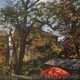 Garden view, morning light