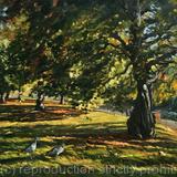 St James's Park, autumn afternoon