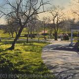 Afternoon light, Brockwell Park