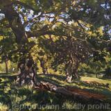 Brockwell Park, late afternoon.