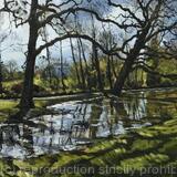 Spring morning, Belair Park. West Dulwich