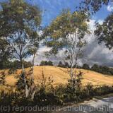 Woldingham Valley, September