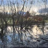 Flood and Ice, Belair Park. West Dulwich