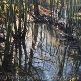 Winter Reflections, Belair Park