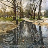 After the rain, Green Park.