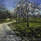 Spring Blossom, Brockwell Park