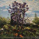 Spring light, Walled garden. Brockwell Park