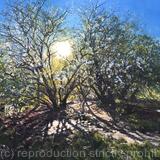 Clapham Common, February Afternoon.