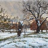 December snowfall. Brockwell Park