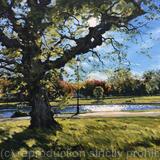 November morning, Clapham Common