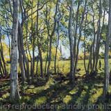 Autumn light and Shadows, Brockwell Park. Herne Hill