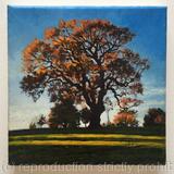 Autumn Oak, Brockwell Park