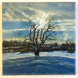 Winter Oak, Brockwell Park