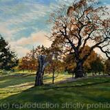 Autumn afternoon light, Brockwell Park. Herne Hill