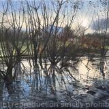 Flood and Ice, Belair Park