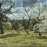 Spring light, Brockwell Park