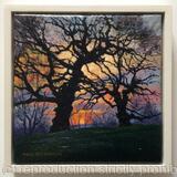 Sunset, Brockwell Park