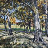 Autumn morning in Brockwell Park.