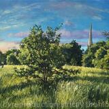 Summer morning run, Brockwell Park.