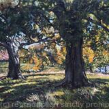 October morning, Hampstead Heath.