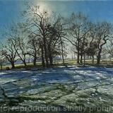 Morning frost, Brockwell Park.