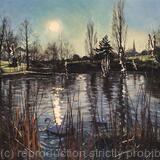 Winter morning light over Brockwell Park pond. 