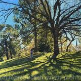 Spring sunlight over Brockwell Park