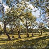 Brockwell Park, spring afternoon.