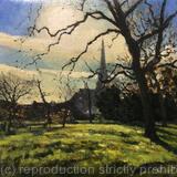 Trinity Church from Brockwell Park.