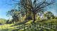 Spring sunlight over Brockwell Park