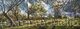 Brockwell Park, spring afternoon.