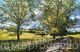Woldingham Valley.