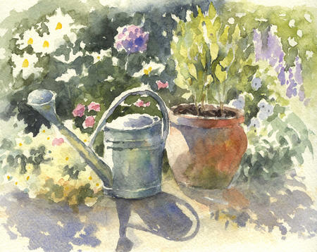 Watering Can 1