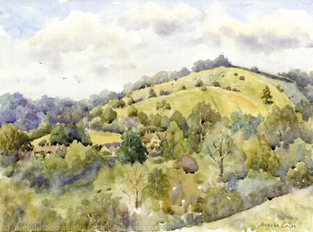 Swifts Hill summer evening