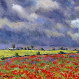 Poppy Field